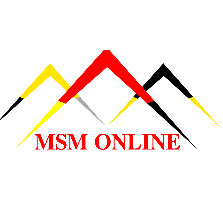 MSM Online -logo